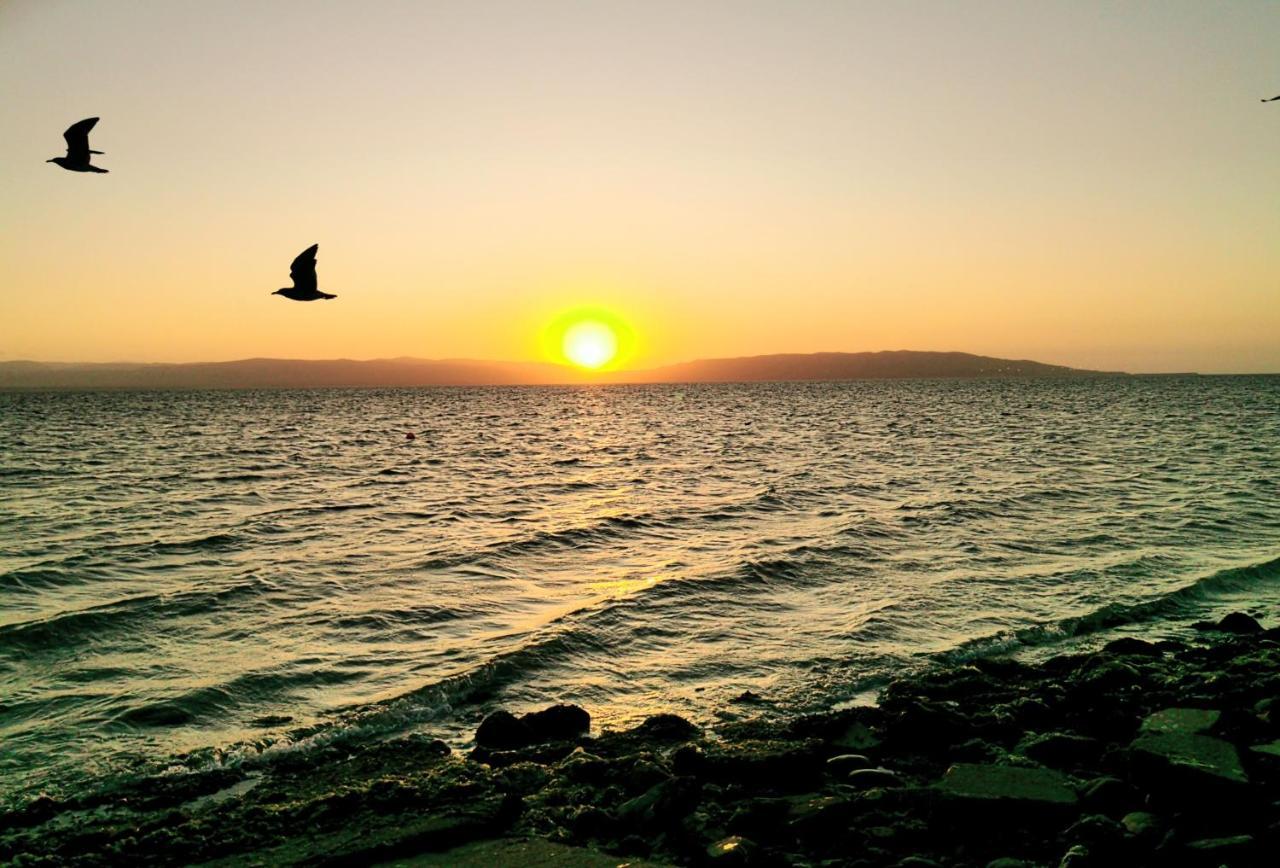 Aquamarine Paracas Beach Hostal Zewnętrze zdjęcie