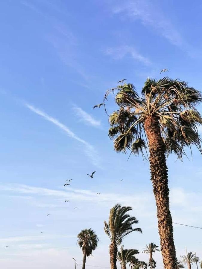 Aquamarine Paracas Beach Hostal Zewnętrze zdjęcie